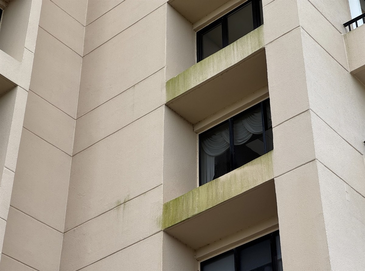 Building facade before cleaning